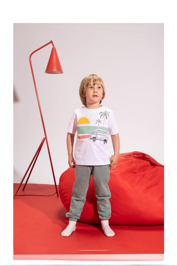 Boys' Tropical Graphic T-Shirt & Jogger Pants Set – Cotton Casual 2-Piece Outfit
