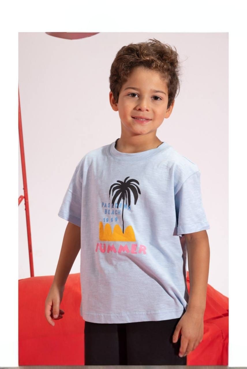 Boys' Summer Graphic T-Shirt & Shorts Set – Palm Tree Cotton 2-Piece Casual Outfit