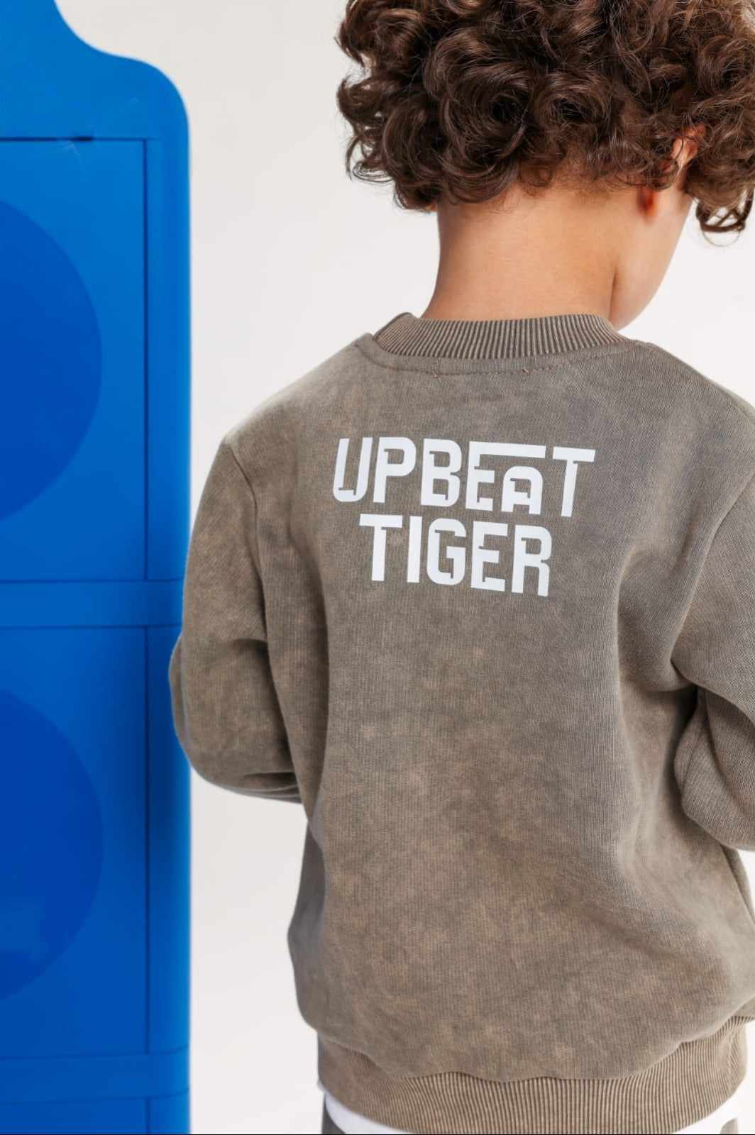 Boys’ Grey Tiger Print 2-Piece Tracksuit Set – Long-Sleeve Sweatshirt & Jogger Pants